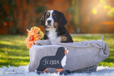 (c) Marion Thonhofer