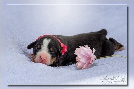 (c) Marion Thonhofer