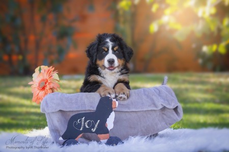 Joy (c) Marion Thonhofer