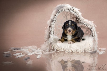 (c) Marion Thonhofer