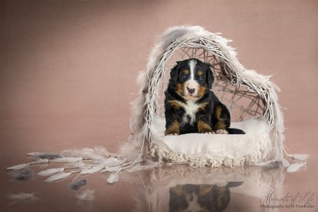 (c) Marion Thonhofer