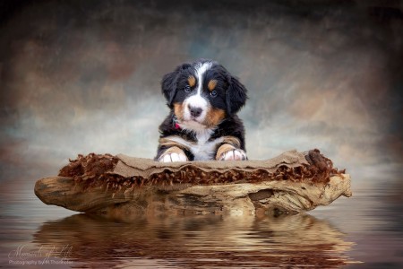 (c) Marion Thonhofer