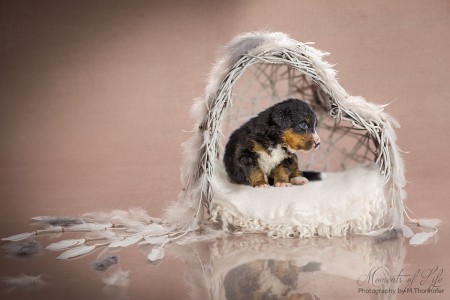 (c) Marion Thonhofer