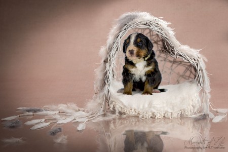 (c) Marion Thonhofer