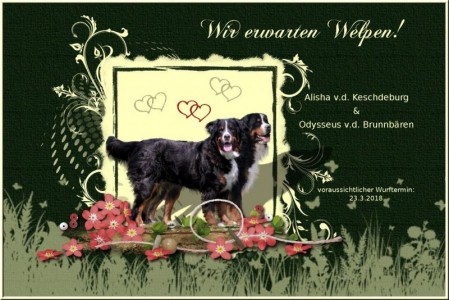 (c) Marion Thonhofer