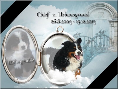 (c) Marion Thonhofer