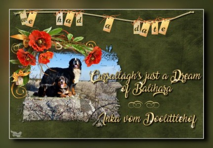 (c) Marion Thonhofer