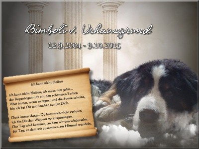 (c) Marion Thonhofer