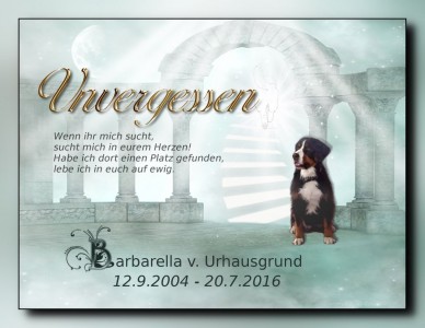 (c) Marion Thonhofer