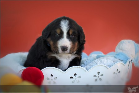 Himba (c) Marion Thonhofer