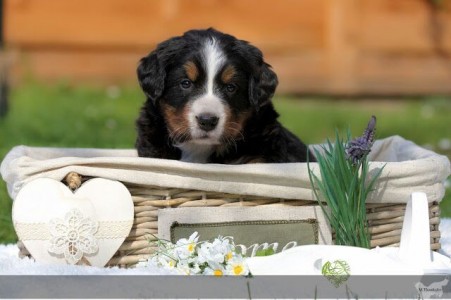 Himba (c) Marion Thonhofer