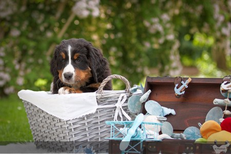 Himba Himba (c) Marion Thonhofer