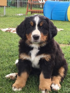 Himba (c) Marion Thonhofer