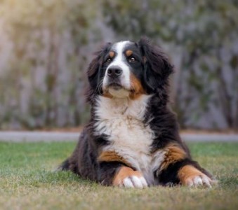 Jola (c) Marion Thonhofer