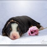 Jola (c) Marion Thonhofer