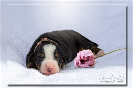 Jola (c) Marion Thonhofer