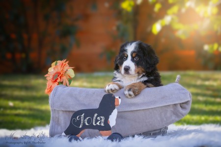 Jola (c) Marion Thonhofer