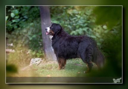 Polly (c) Marion Thonhofer