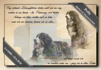 Polly (c) Marion Thonhofer