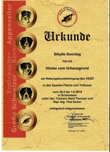 Rettungshunde Lehrgang 2018