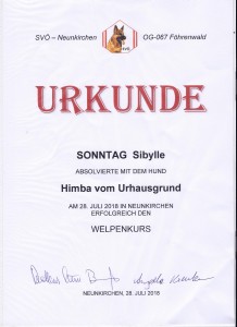 Welpenabschlussprüfung 2018