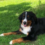 Luis "Lucky" 1.Geburtstag